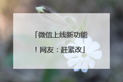 微信上线新功能！网友：赶紧改